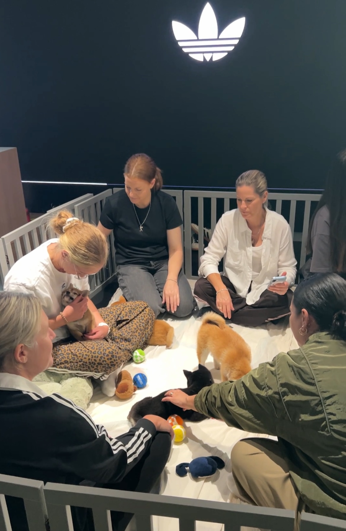 Employee engagement event with puppy therapy