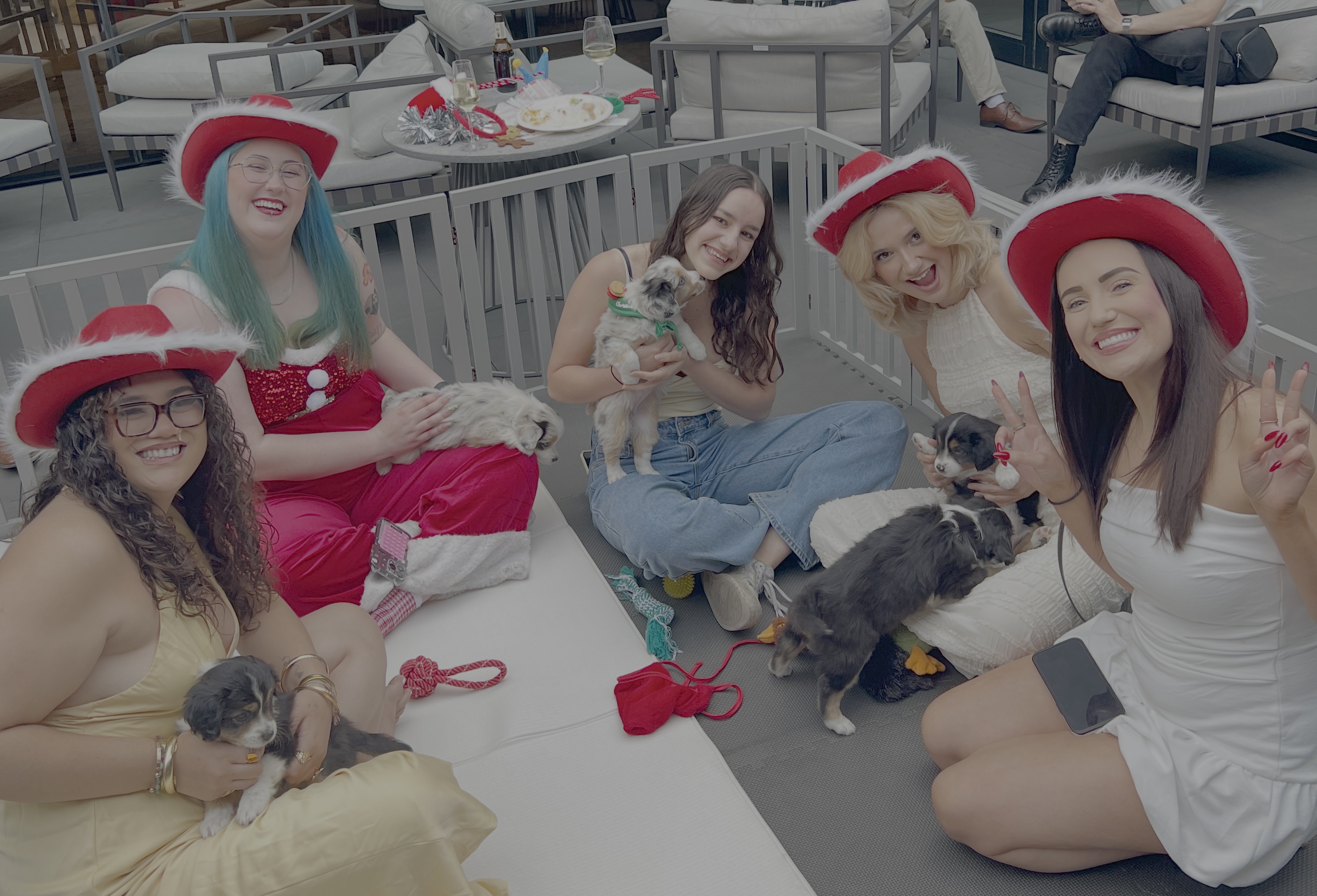 Corporate team enjoying puppy therapy