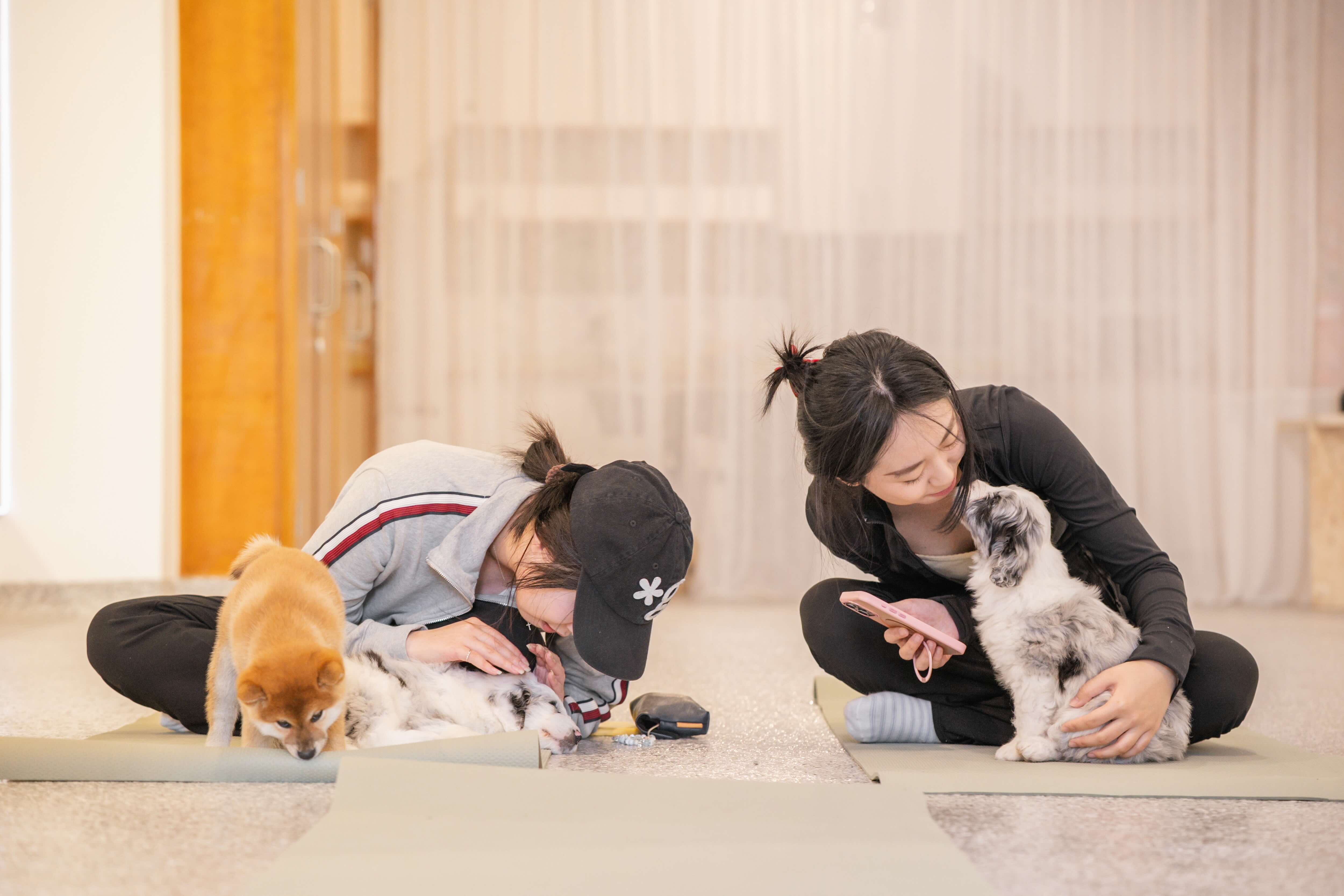 Private Event with Puppies