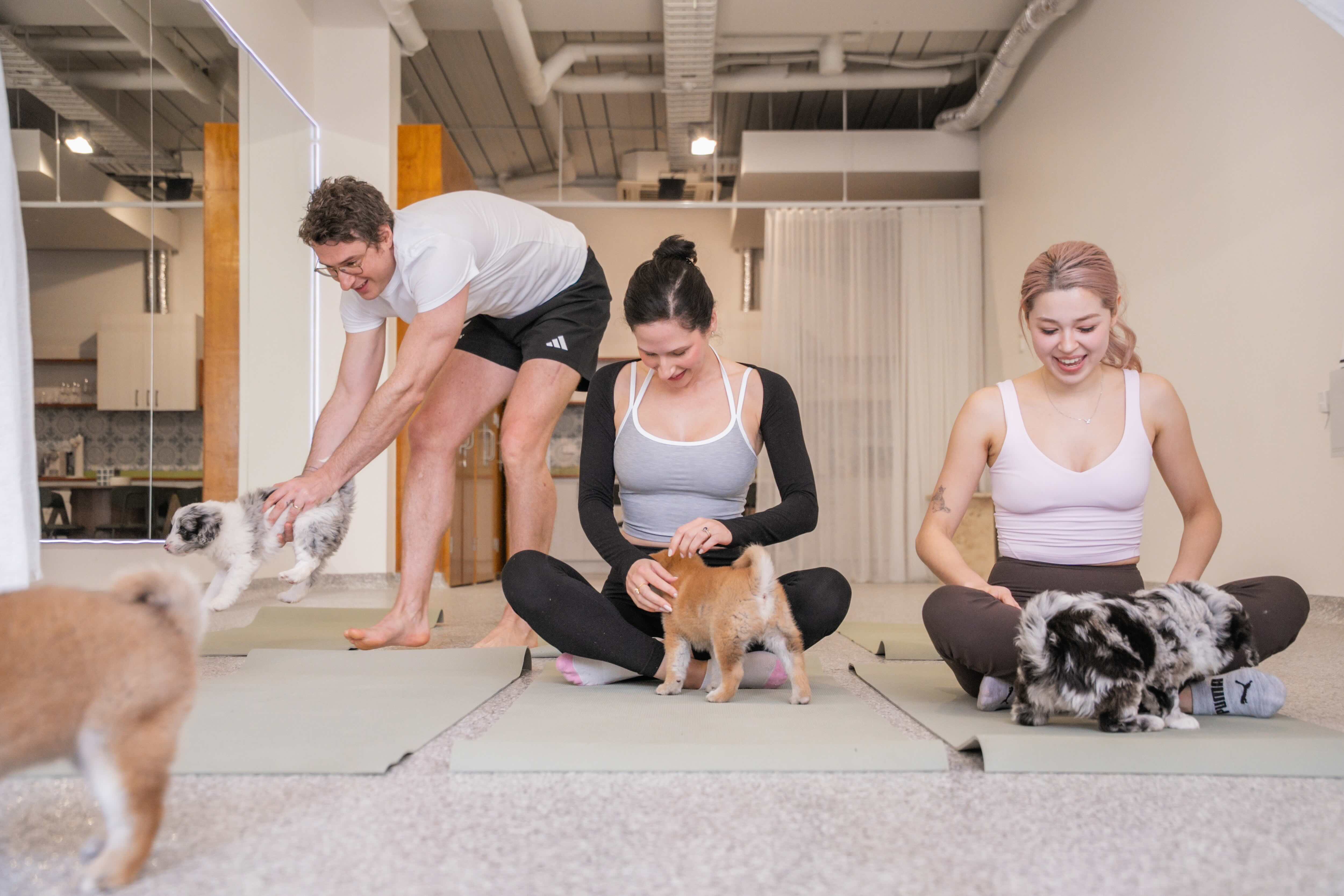 Puppy Yoga Class